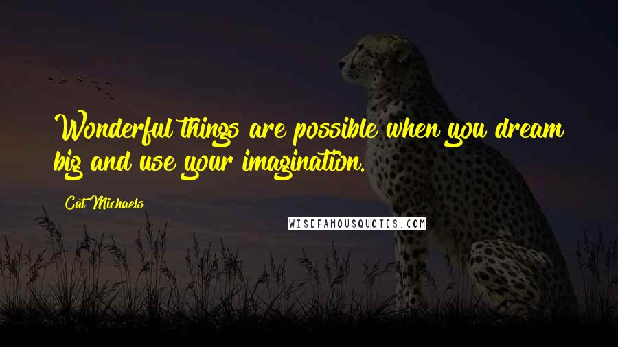 Cat Michaels Quotes: Wonderful things are possible when you dream big and use your imagination.