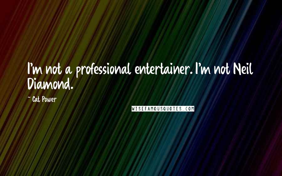 Cat Power Quotes: I'm not a professional entertainer. I'm not Neil Diamond.