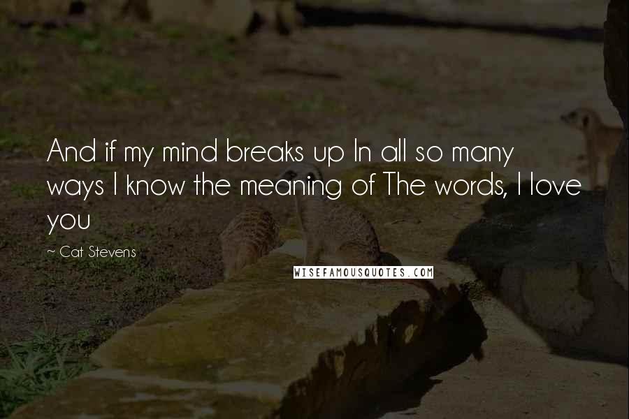 Cat Stevens Quotes: And if my mind breaks up In all so many ways I know the meaning of The words, I love you