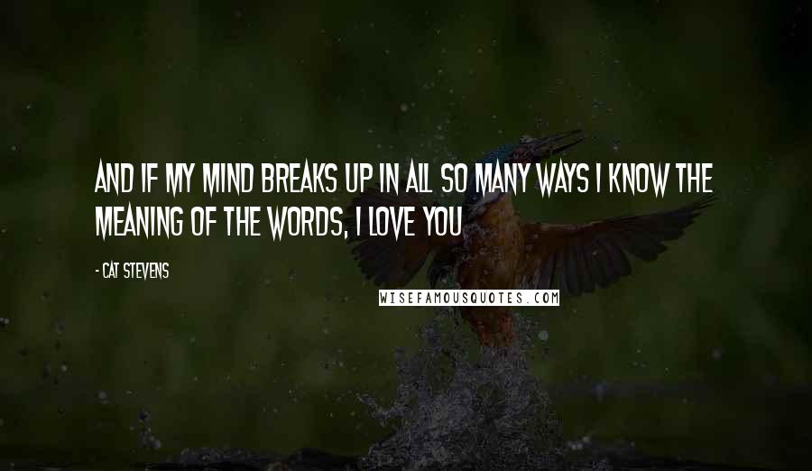 Cat Stevens Quotes: And if my mind breaks up In all so many ways I know the meaning of The words, I love you