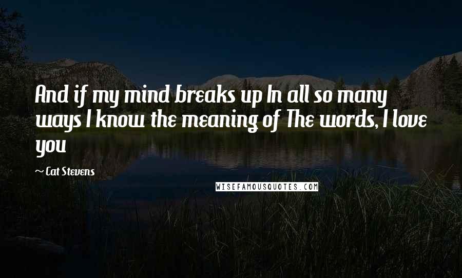 Cat Stevens Quotes: And if my mind breaks up In all so many ways I know the meaning of The words, I love you