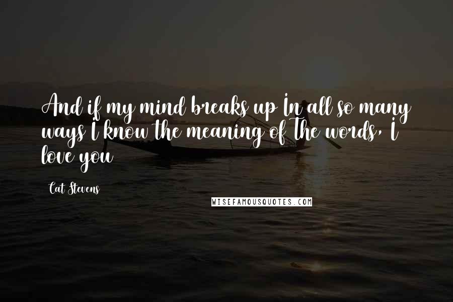 Cat Stevens Quotes: And if my mind breaks up In all so many ways I know the meaning of The words, I love you