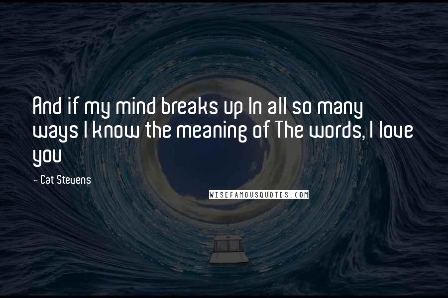 Cat Stevens Quotes: And if my mind breaks up In all so many ways I know the meaning of The words, I love you