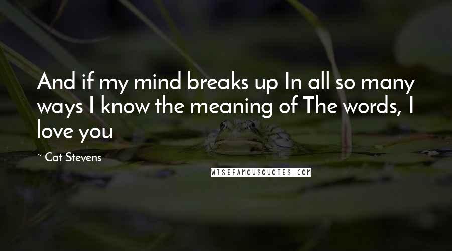 Cat Stevens Quotes: And if my mind breaks up In all so many ways I know the meaning of The words, I love you