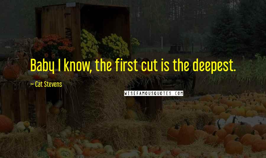 Cat Stevens Quotes: Baby I know, the first cut is the deepest.