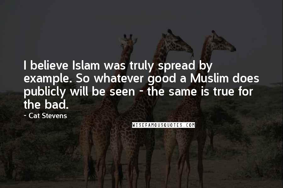 Cat Stevens Quotes: I believe Islam was truly spread by example. So whatever good a Muslim does publicly will be seen - the same is true for the bad.
