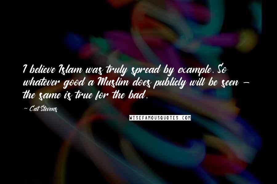 Cat Stevens Quotes: I believe Islam was truly spread by example. So whatever good a Muslim does publicly will be seen - the same is true for the bad.