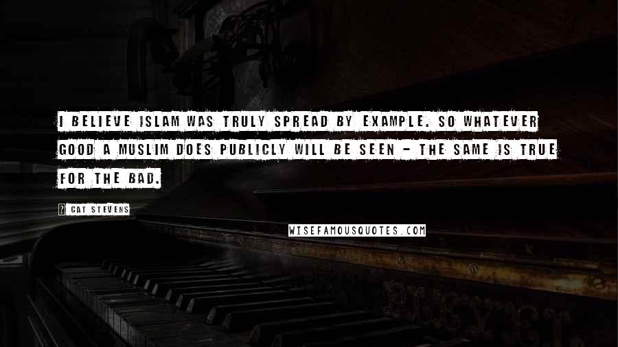 Cat Stevens Quotes: I believe Islam was truly spread by example. So whatever good a Muslim does publicly will be seen - the same is true for the bad.