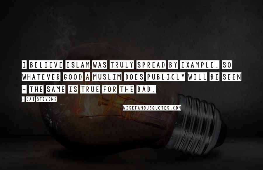 Cat Stevens Quotes: I believe Islam was truly spread by example. So whatever good a Muslim does publicly will be seen - the same is true for the bad.