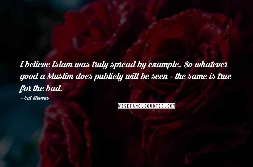 Cat Stevens Quotes: I believe Islam was truly spread by example. So whatever good a Muslim does publicly will be seen - the same is true for the bad.