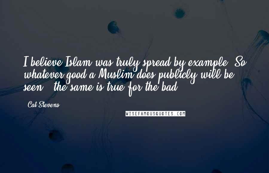 Cat Stevens Quotes: I believe Islam was truly spread by example. So whatever good a Muslim does publicly will be seen - the same is true for the bad.