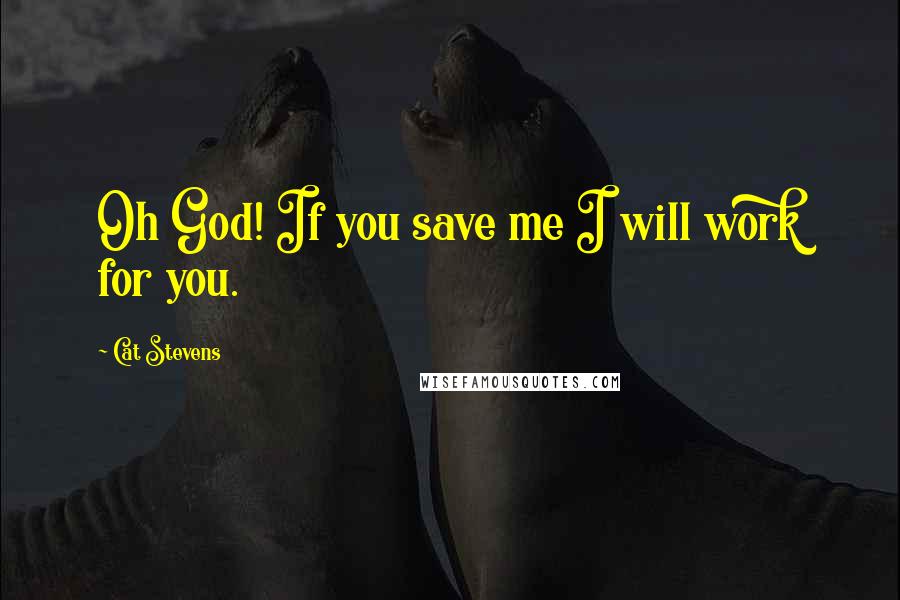 Cat Stevens Quotes: Oh God! If you save me I will work for you.