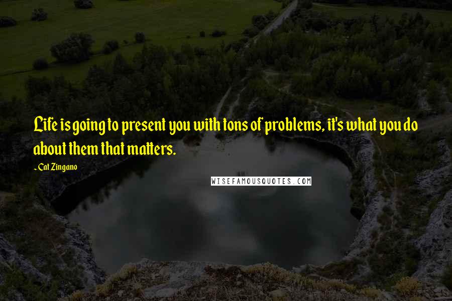 Cat Zingano Quotes: Life is going to present you with tons of problems, it's what you do about them that matters.