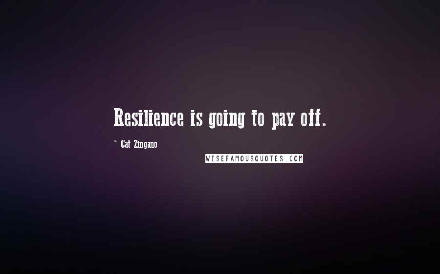 Cat Zingano Quotes: Resilience is going to pay off.