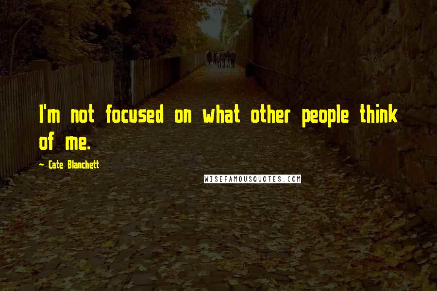 Cate Blanchett Quotes: I'm not focused on what other people think of me.