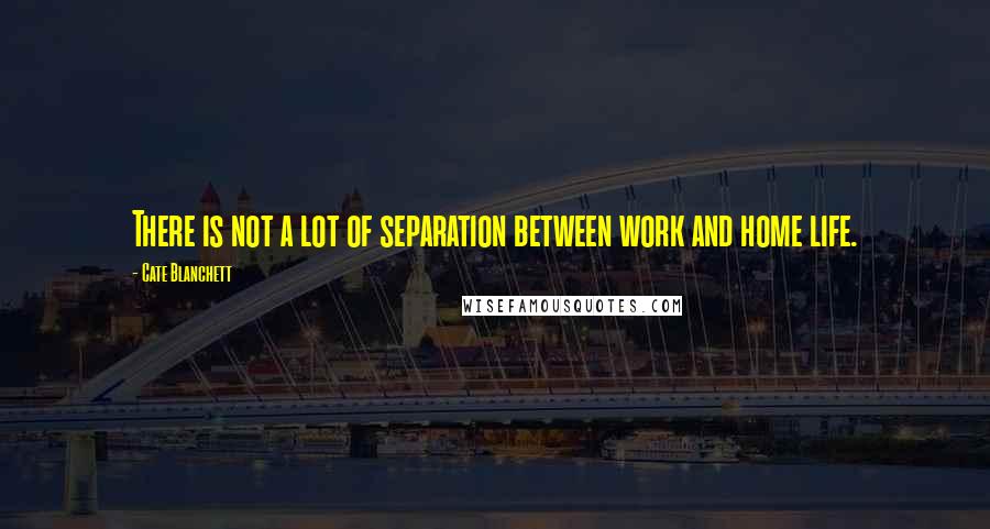 Cate Blanchett Quotes: There is not a lot of separation between work and home life.
