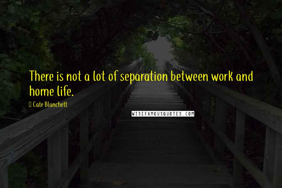 Cate Blanchett Quotes: There is not a lot of separation between work and home life.