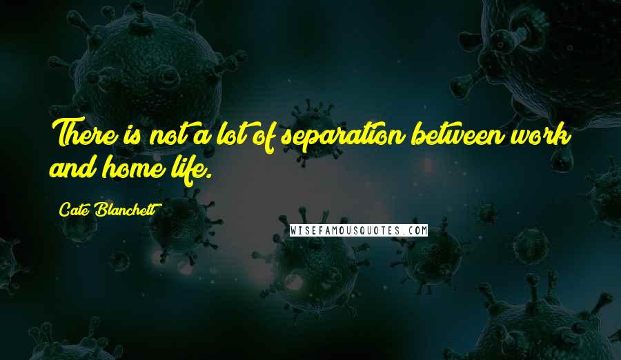 Cate Blanchett Quotes: There is not a lot of separation between work and home life.