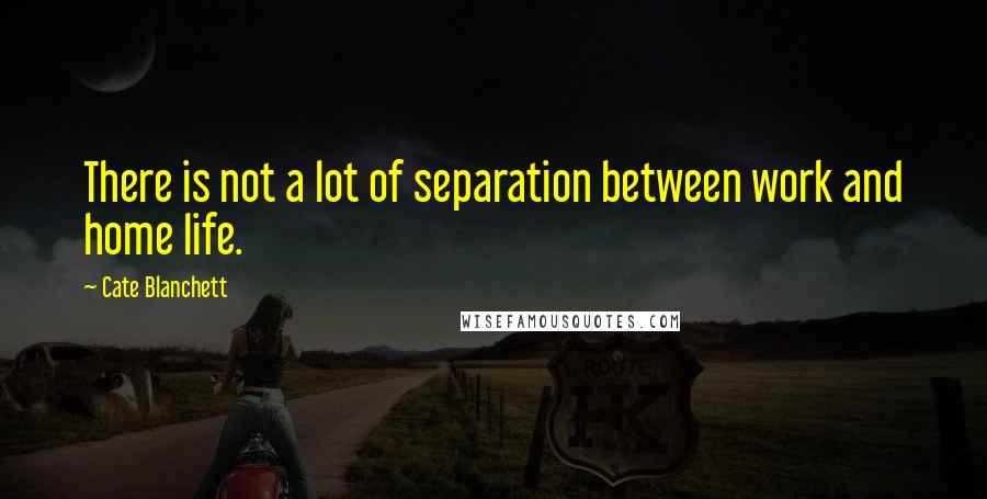 Cate Blanchett Quotes: There is not a lot of separation between work and home life.