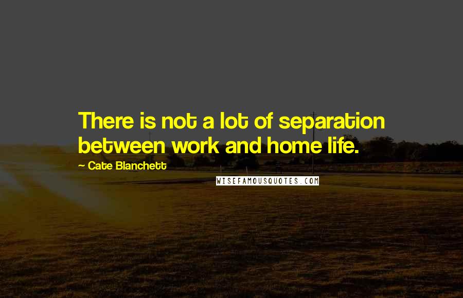 Cate Blanchett Quotes: There is not a lot of separation between work and home life.