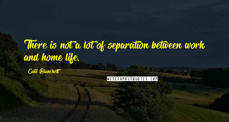 Cate Blanchett Quotes: There is not a lot of separation between work and home life.