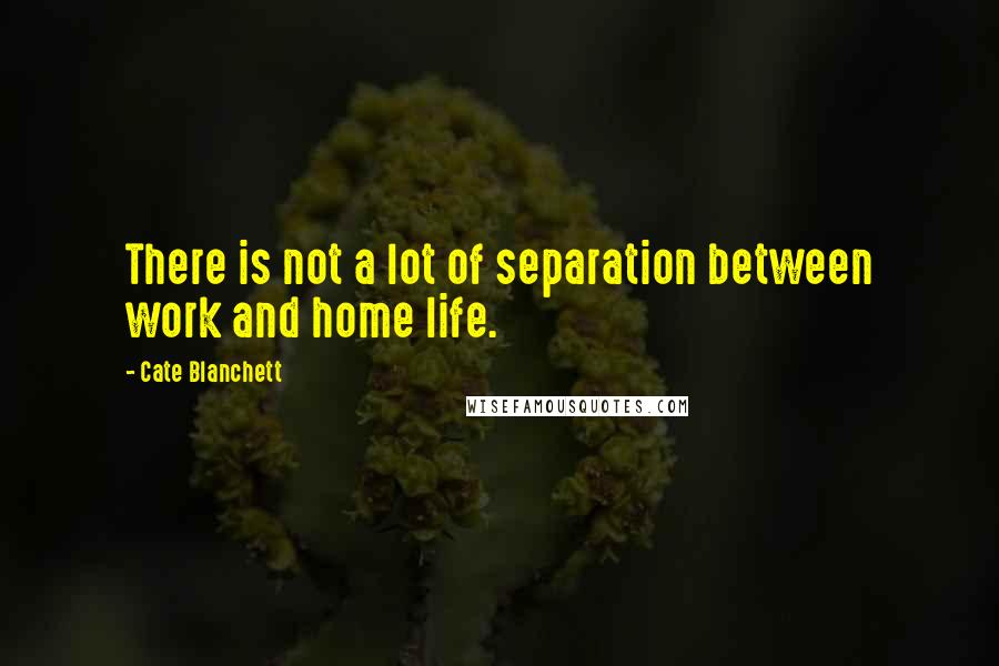Cate Blanchett Quotes: There is not a lot of separation between work and home life.