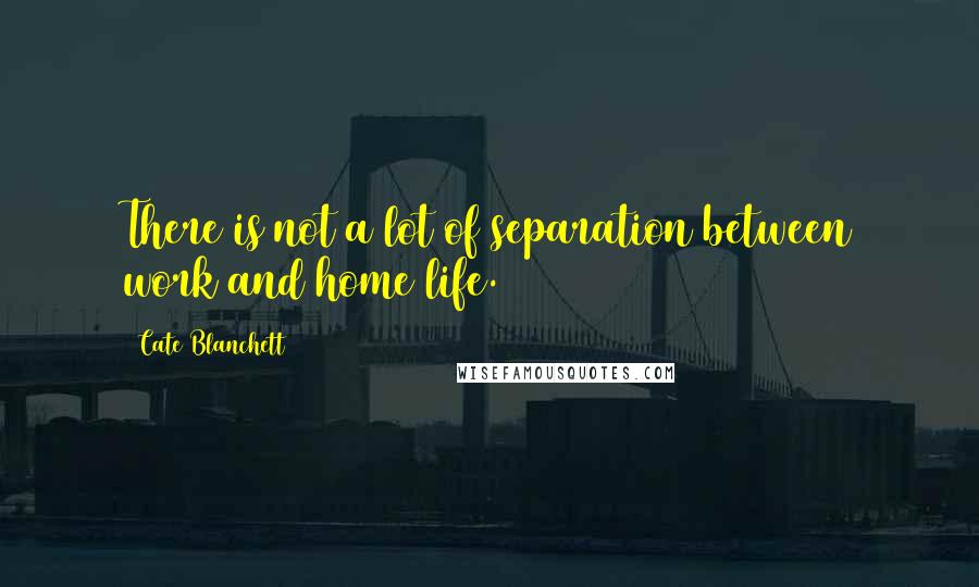 Cate Blanchett Quotes: There is not a lot of separation between work and home life.
