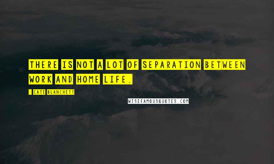 Cate Blanchett Quotes: There is not a lot of separation between work and home life.