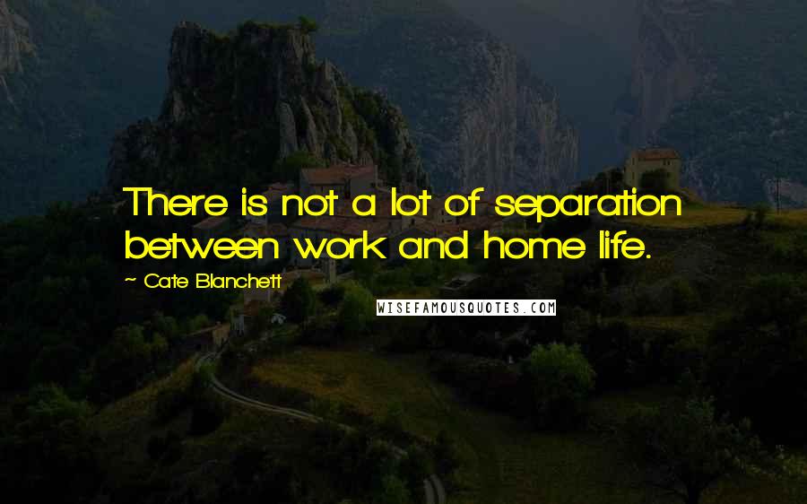 Cate Blanchett Quotes: There is not a lot of separation between work and home life.