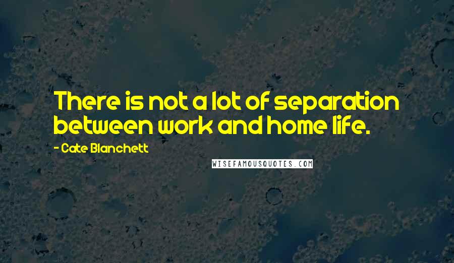 Cate Blanchett Quotes: There is not a lot of separation between work and home life.
