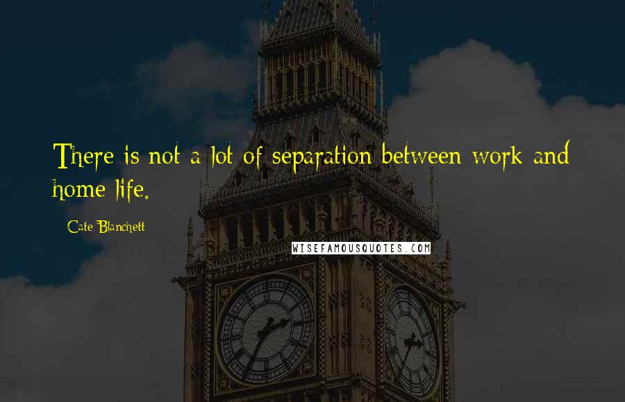 Cate Blanchett Quotes: There is not a lot of separation between work and home life.