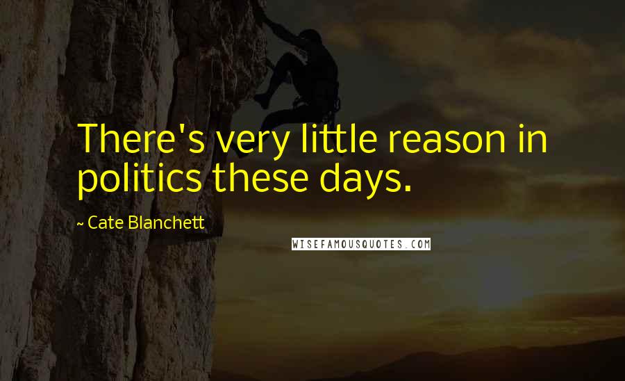Cate Blanchett Quotes: There's very little reason in politics these days.