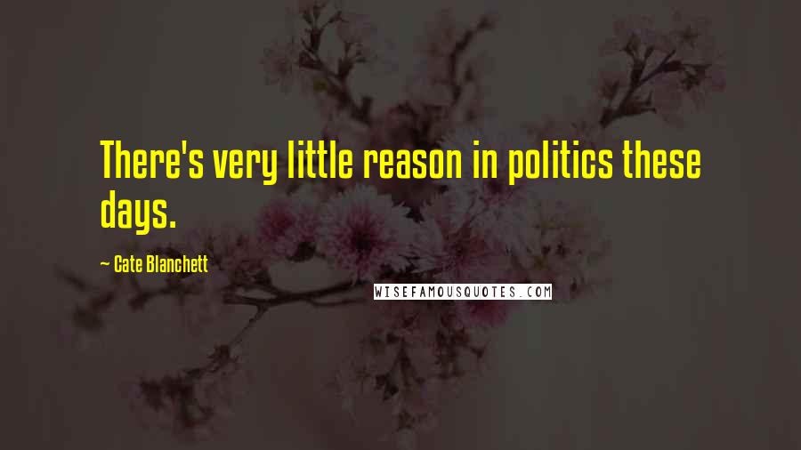 Cate Blanchett Quotes: There's very little reason in politics these days.