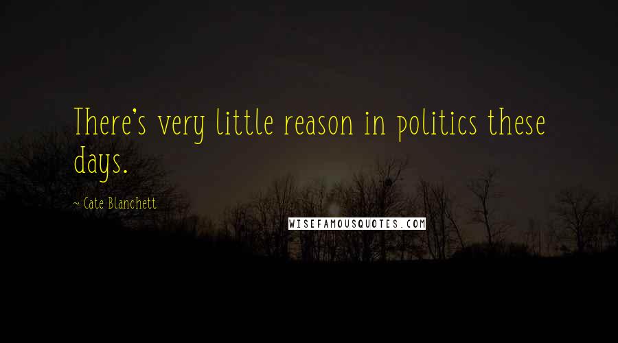 Cate Blanchett Quotes: There's very little reason in politics these days.