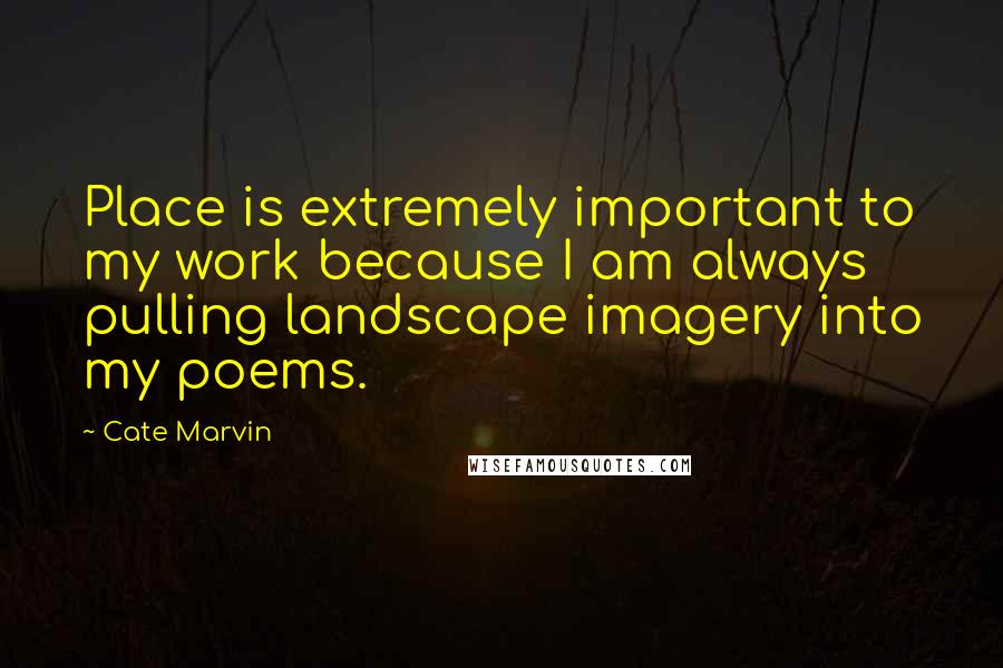 Cate Marvin Quotes: Place is extremely important to my work because I am always pulling landscape imagery into my poems.