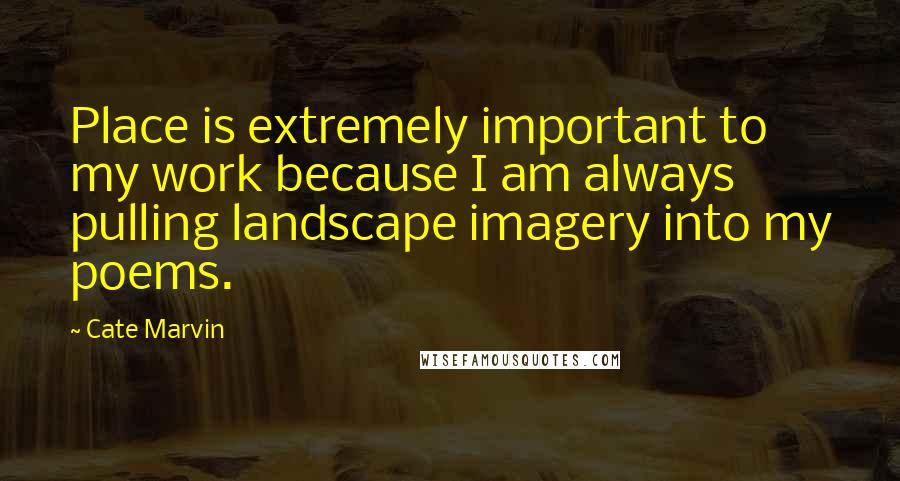 Cate Marvin Quotes: Place is extremely important to my work because I am always pulling landscape imagery into my poems.