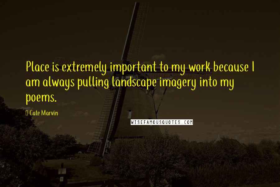 Cate Marvin Quotes: Place is extremely important to my work because I am always pulling landscape imagery into my poems.