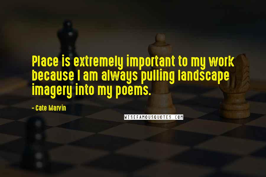 Cate Marvin Quotes: Place is extremely important to my work because I am always pulling landscape imagery into my poems.