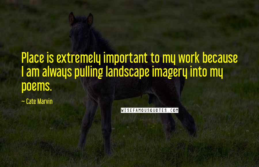 Cate Marvin Quotes: Place is extremely important to my work because I am always pulling landscape imagery into my poems.