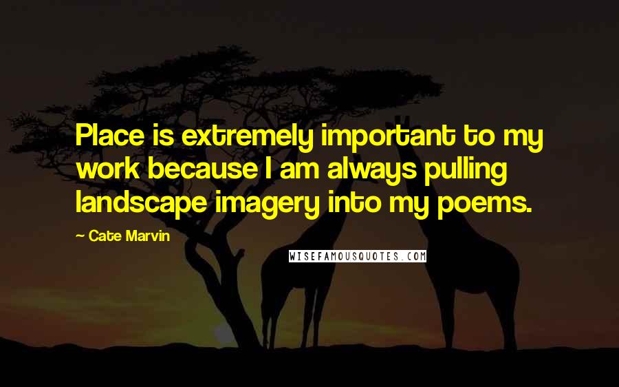 Cate Marvin Quotes: Place is extremely important to my work because I am always pulling landscape imagery into my poems.