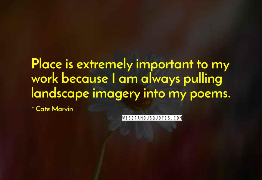 Cate Marvin Quotes: Place is extremely important to my work because I am always pulling landscape imagery into my poems.