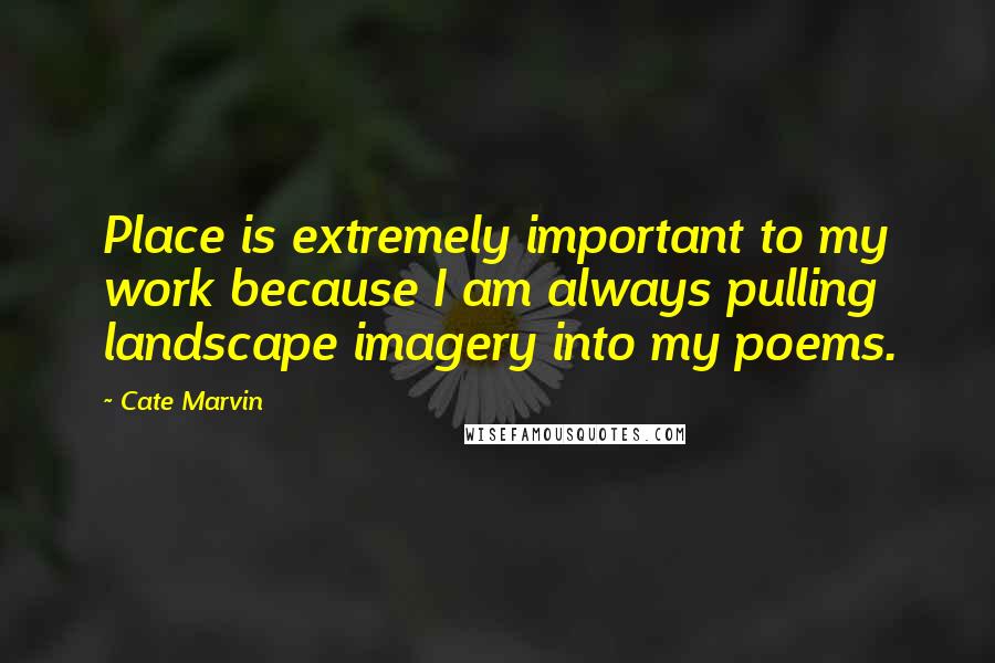 Cate Marvin Quotes: Place is extremely important to my work because I am always pulling landscape imagery into my poems.