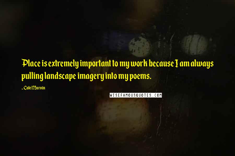 Cate Marvin Quotes: Place is extremely important to my work because I am always pulling landscape imagery into my poems.