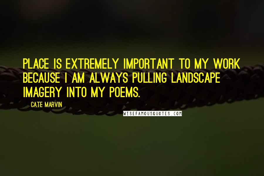 Cate Marvin Quotes: Place is extremely important to my work because I am always pulling landscape imagery into my poems.