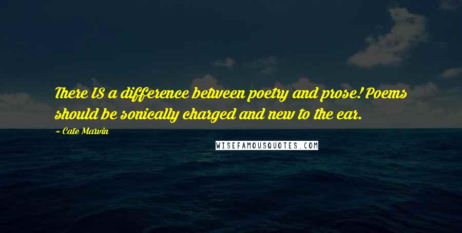 Cate Marvin Quotes: There IS a difference between poetry and prose! Poems should be sonically charged and new to the ear.