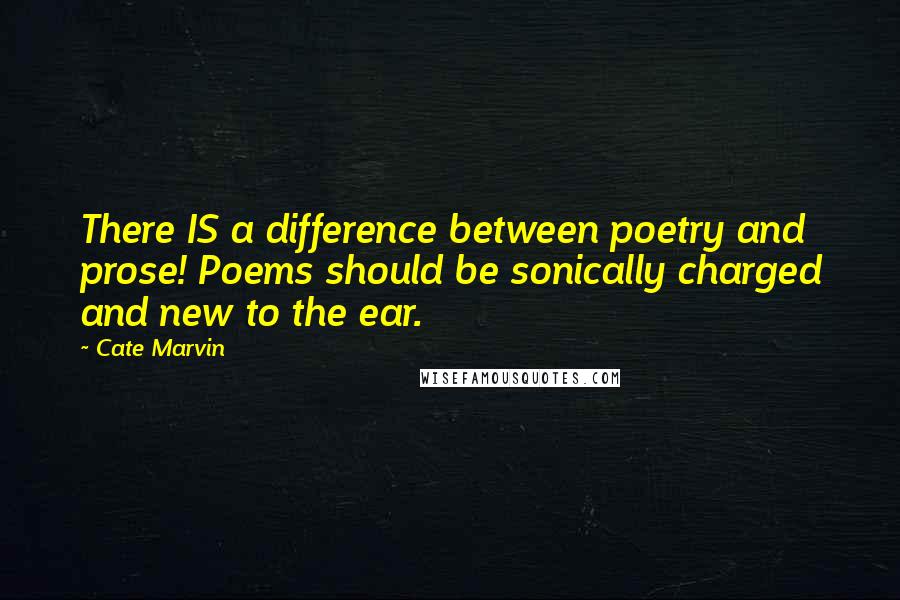 Cate Marvin Quotes: There IS a difference between poetry and prose! Poems should be sonically charged and new to the ear.
