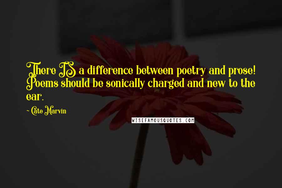 Cate Marvin Quotes: There IS a difference between poetry and prose! Poems should be sonically charged and new to the ear.