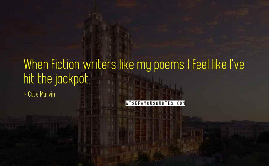 Cate Marvin Quotes: When fiction writers like my poems I feel like I've hit the jackpot.