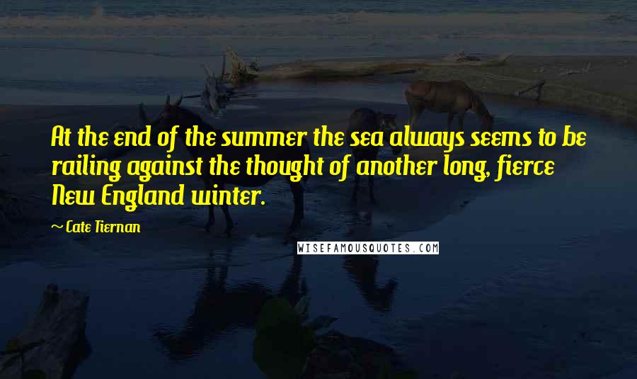 Cate Tiernan Quotes: At the end of the summer the sea always seems to be railing against the thought of another long, fierce New England winter.