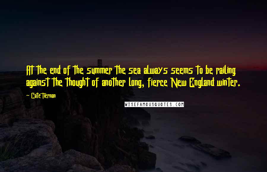 Cate Tiernan Quotes: At the end of the summer the sea always seems to be railing against the thought of another long, fierce New England winter.